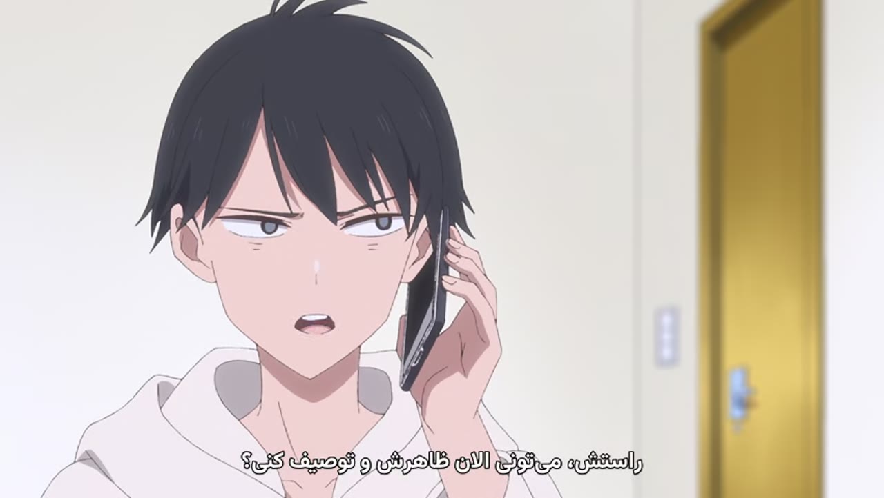 شبه حرمسرا