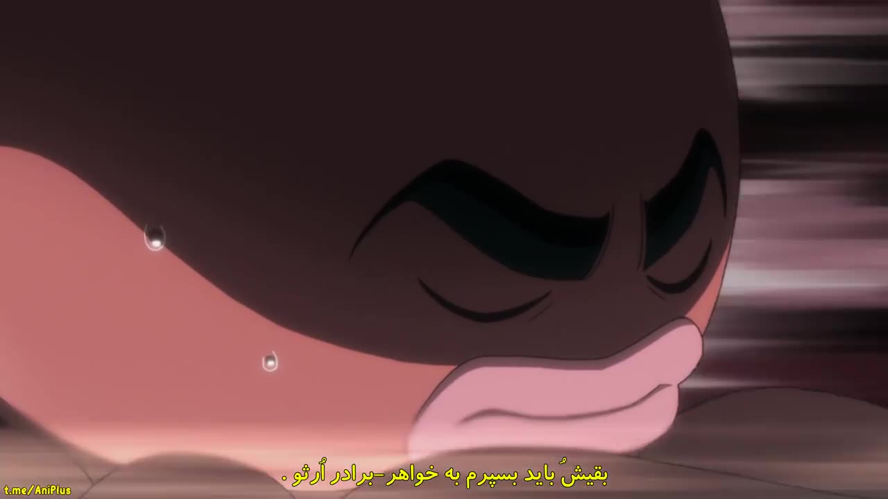 شکارچی x شکارچی