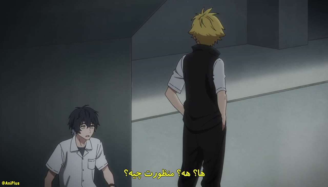 محافظ ساحره
