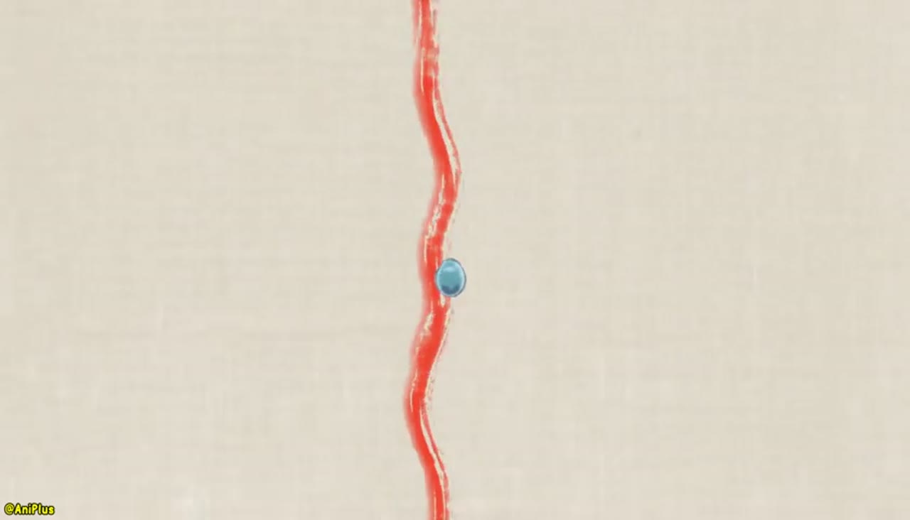 زندگی روزمره پادشاه جاودانه 5