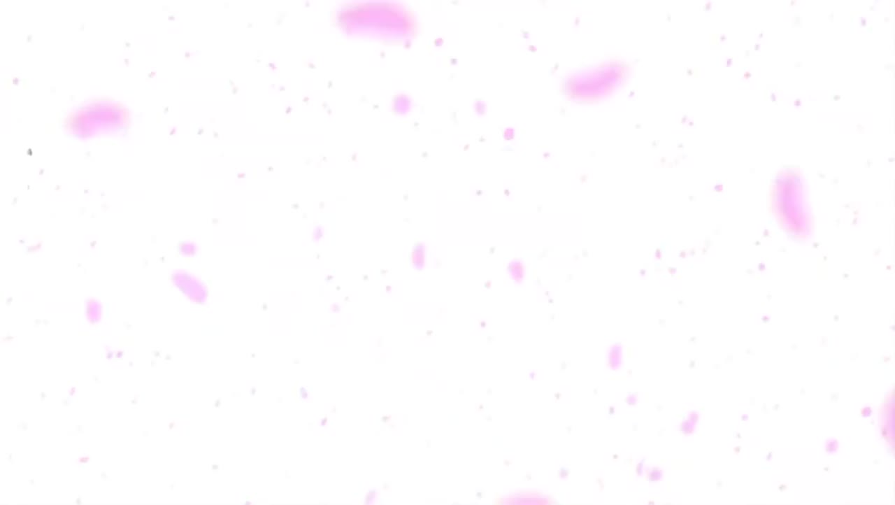 ماننده ماه