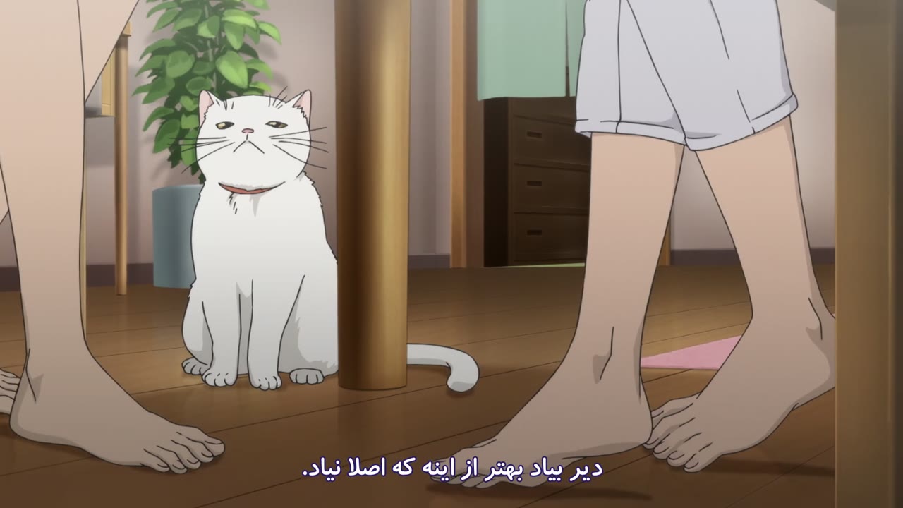 بگو "دوستت دارم".